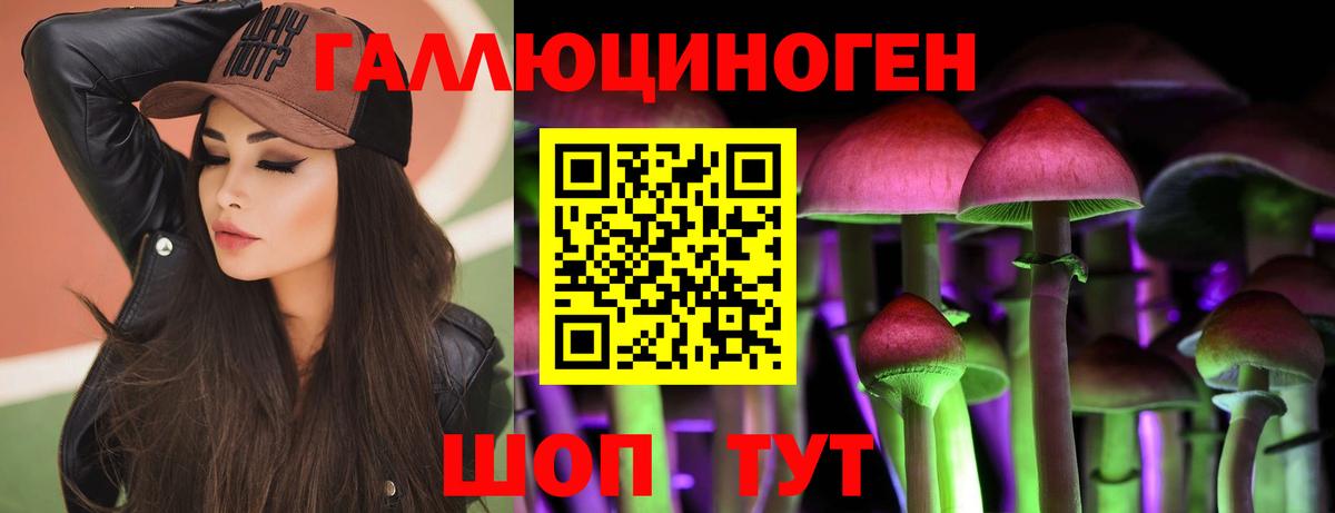 даркнет сайт  Псилоцибиновые грибы ЛСД  Вход с VPN  Электрогорск 
